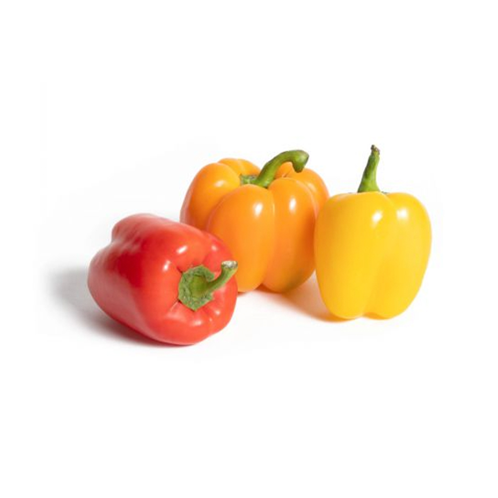 Peppers Rainbow 3pk