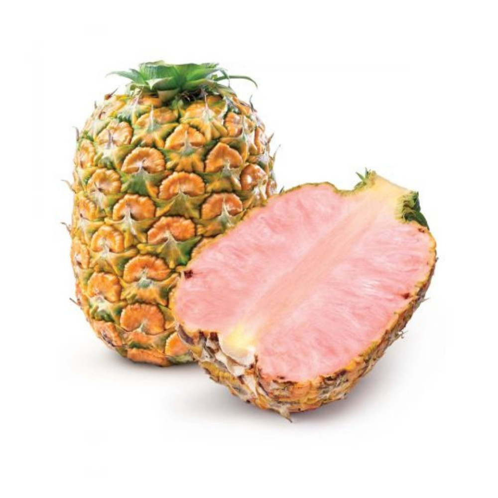 Pink Pineapple 1ea