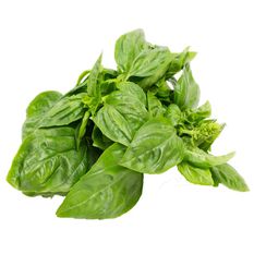 Pusateri's Fresh Basil 0.08lb