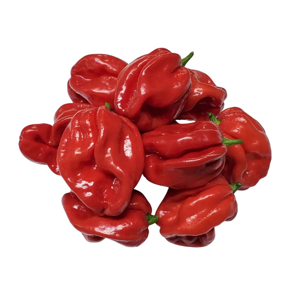Pusateri's Scotch Bonnets 0.5lb