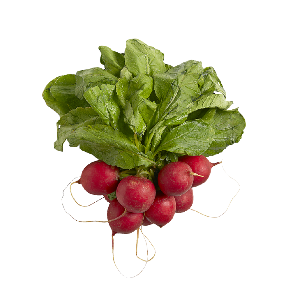 Radish Bunch 1ea