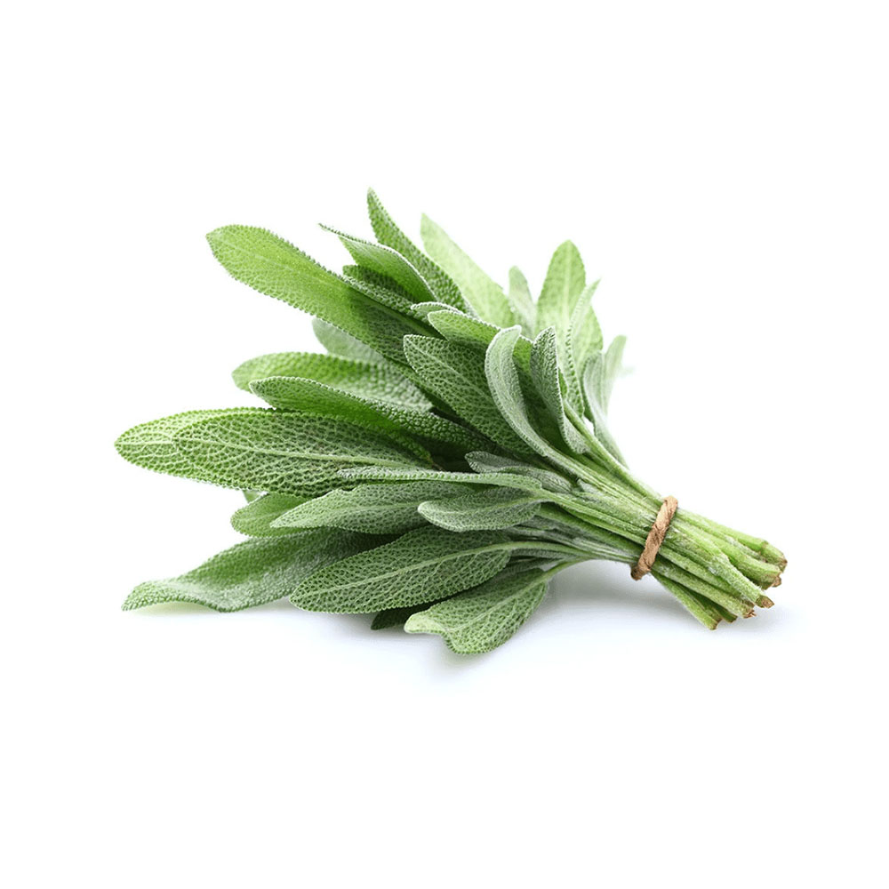 Sage 1ea
