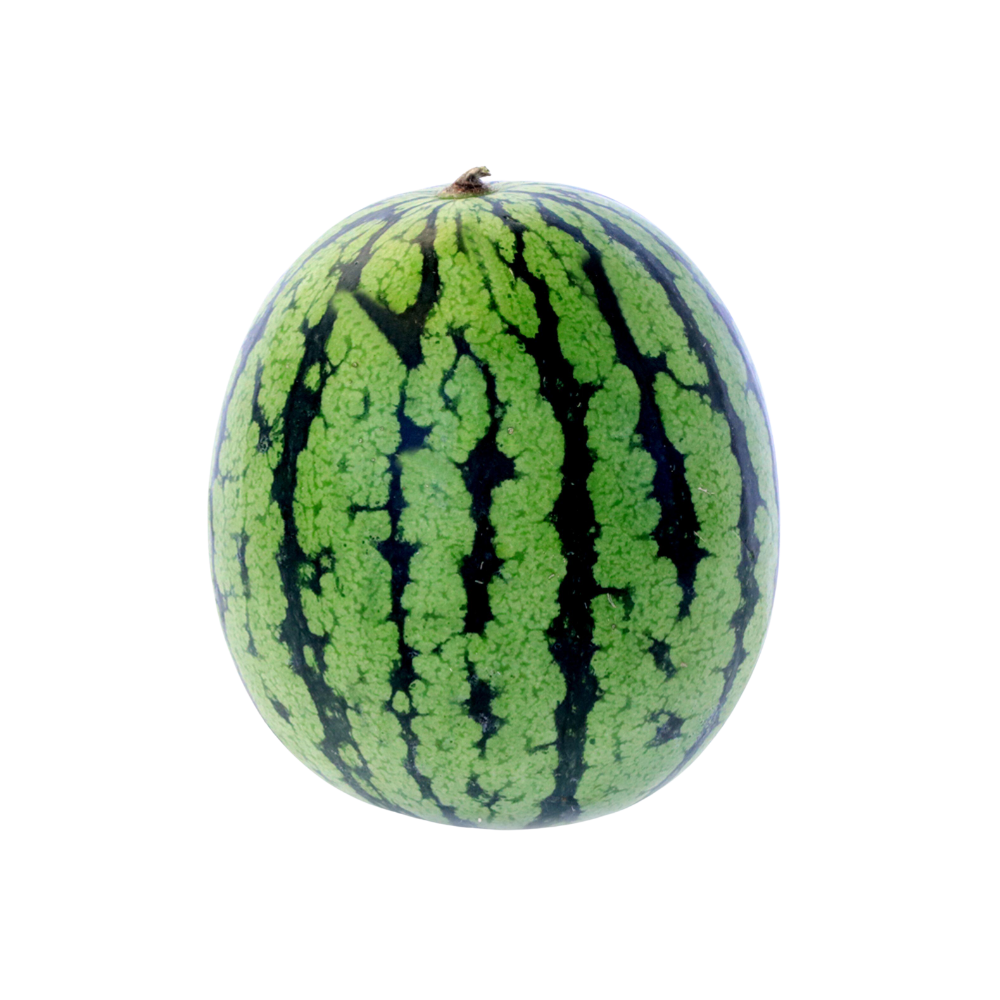 Seedless Baby Watermelon 1ea