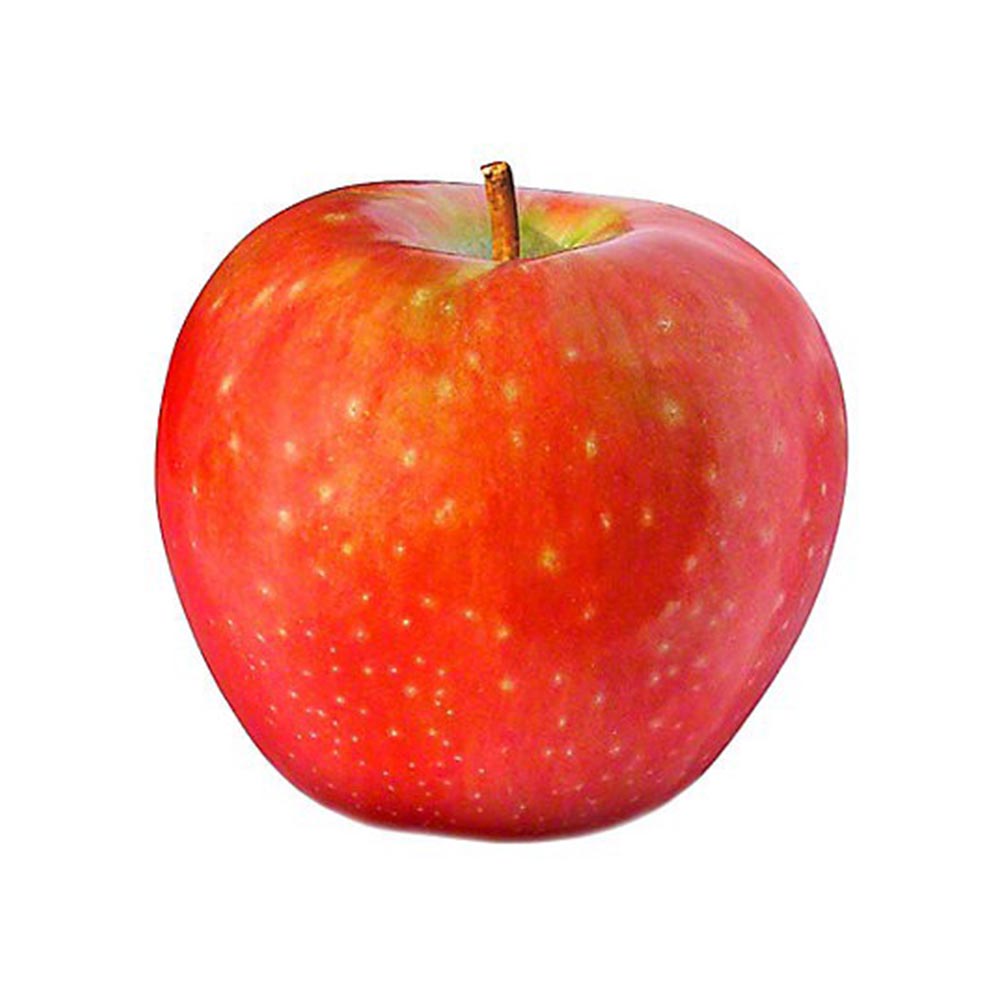 Sugar Bee Apples 1lb
