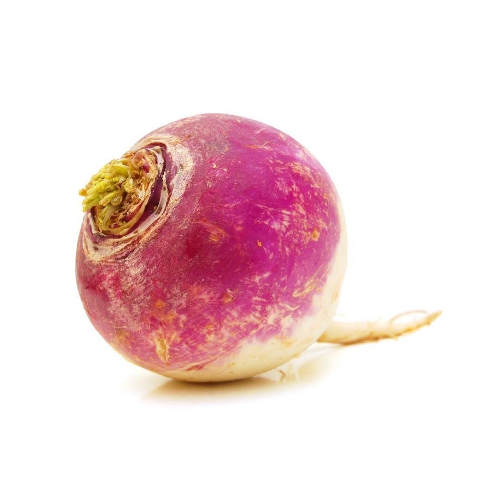 Turnips Waxed 1ea