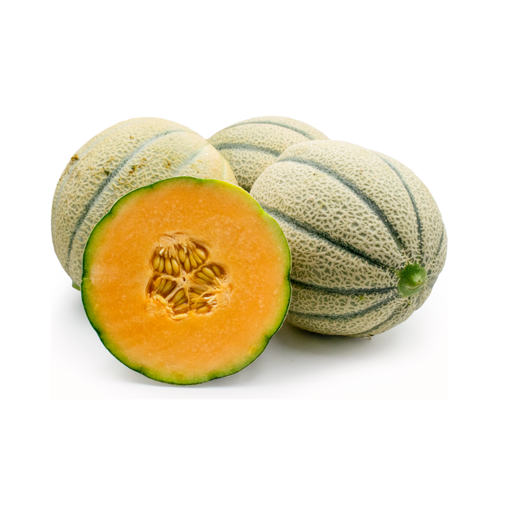 Tuscan Melon 1ea