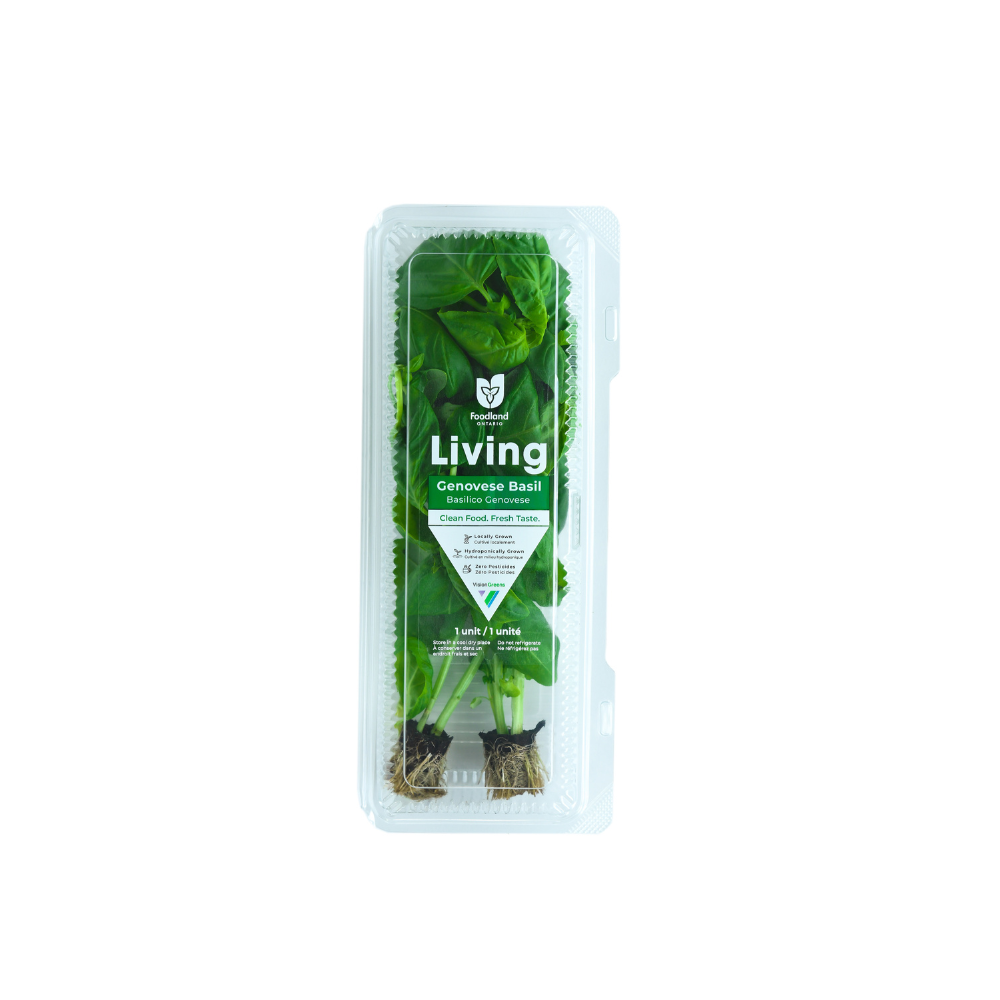 Vision Greens Genovese Basil 60g