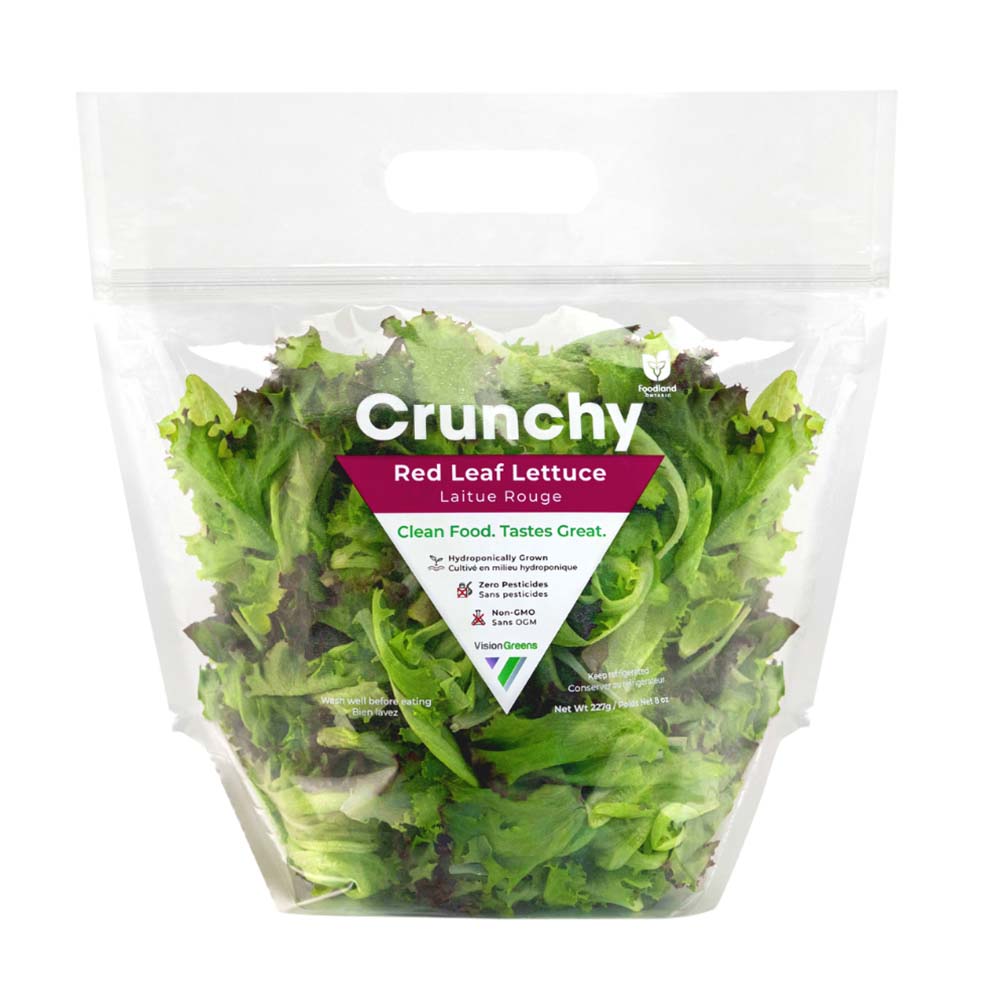 Vision Greens Red Leaf 227g