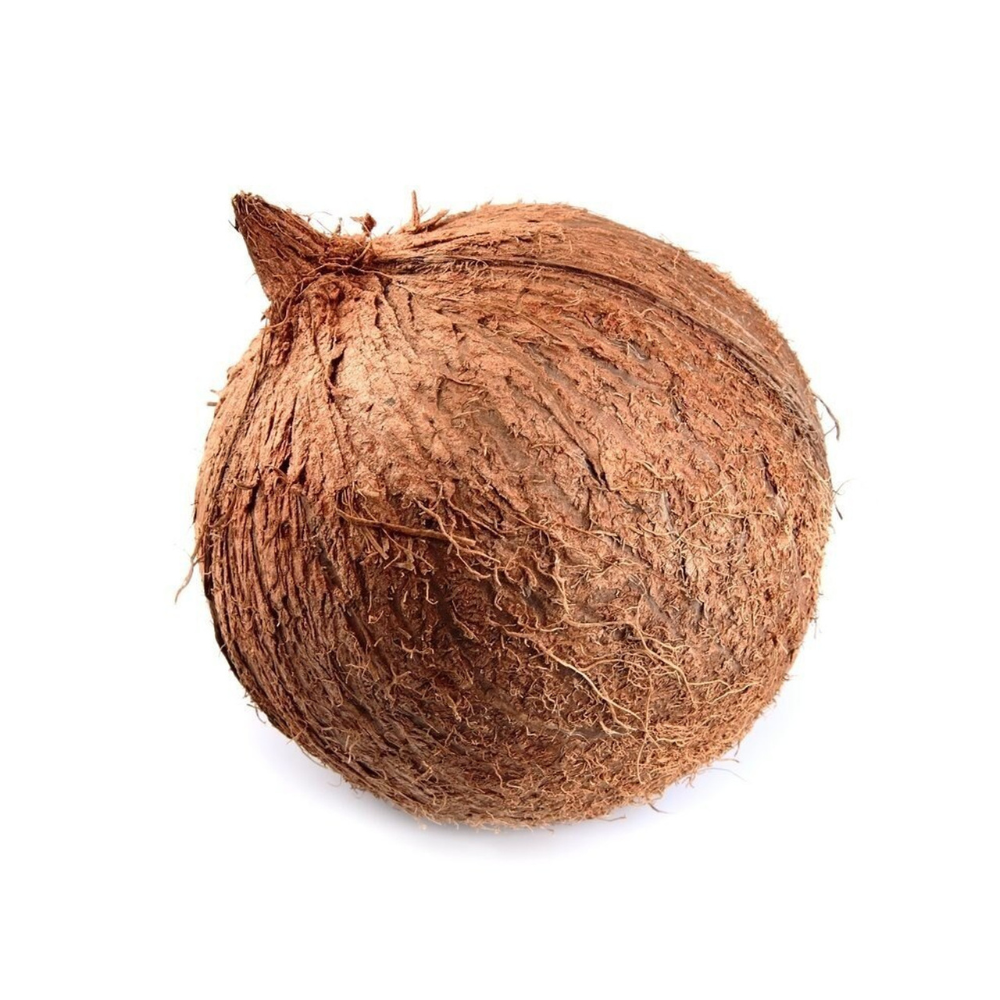 Whole Coconut 1ea