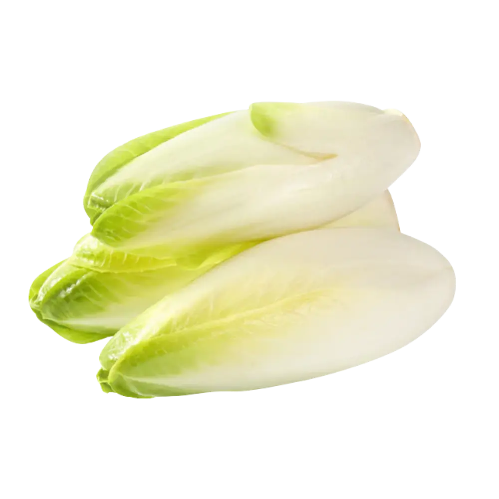 Belgian Endive 0.5lb
