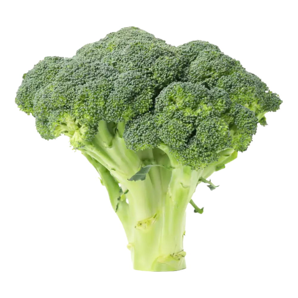 Broccoli 1ea