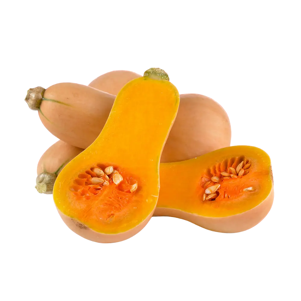 Butternut Squash 1.5lb