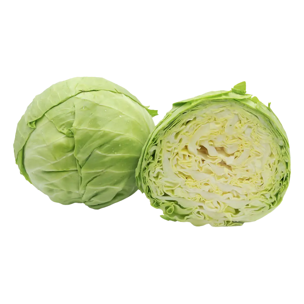 Cabbage Green Ontario 1ea