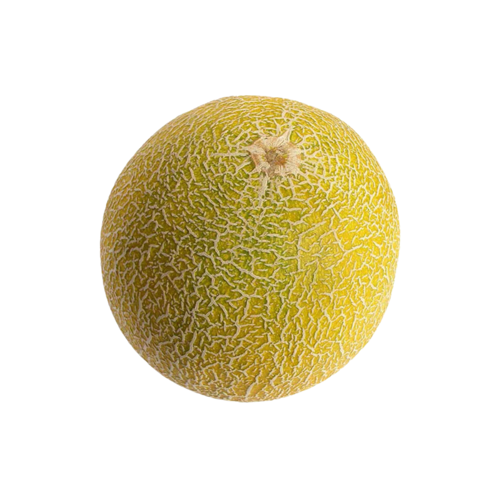 Cantaloupe Jumbo 1ea