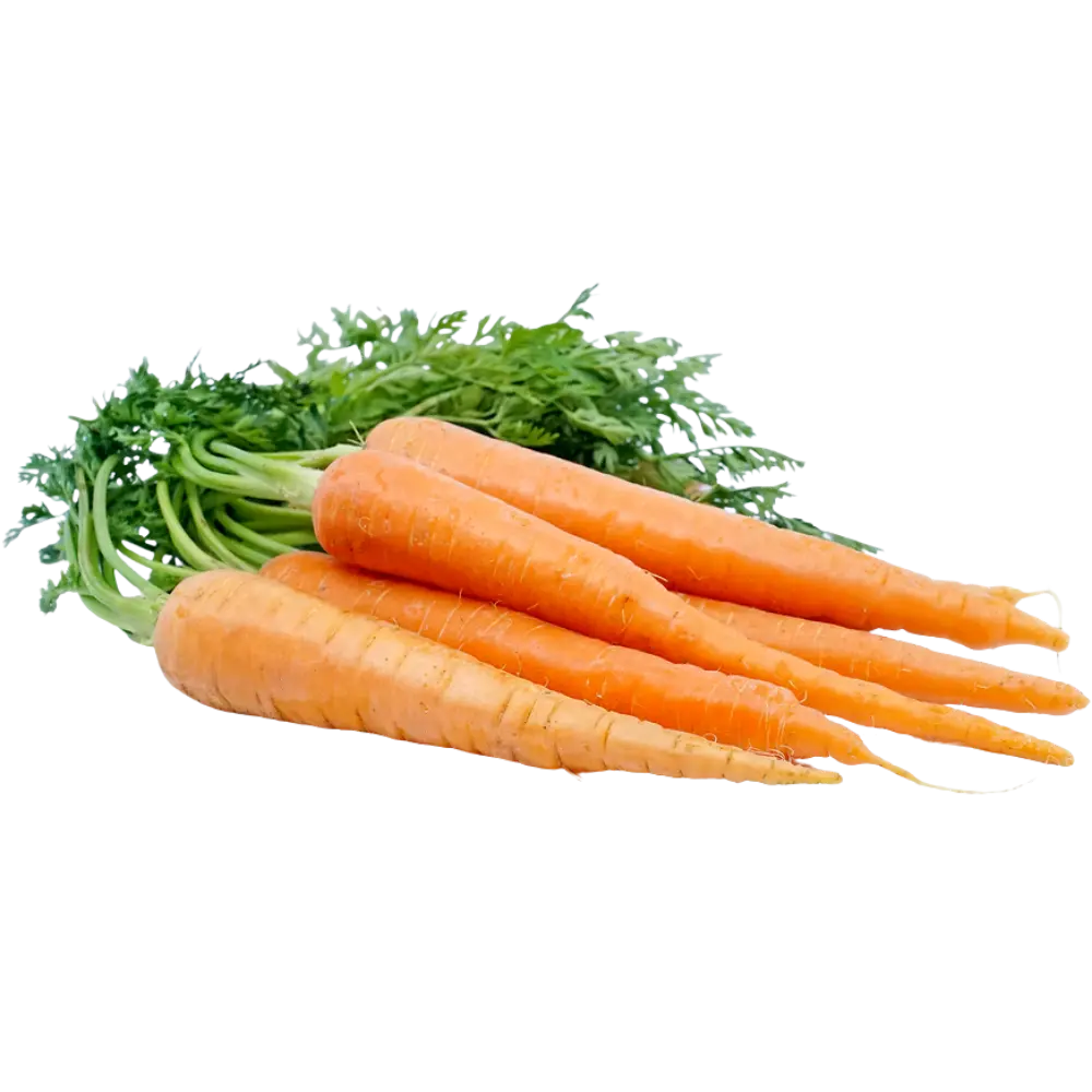 Carrots Bunch 1ea