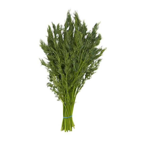 Dill bunch 1ea