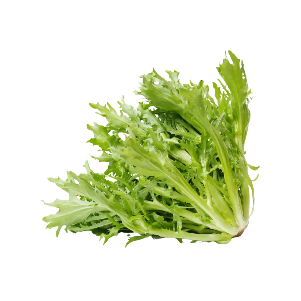 Lettuce Frisee 1ea