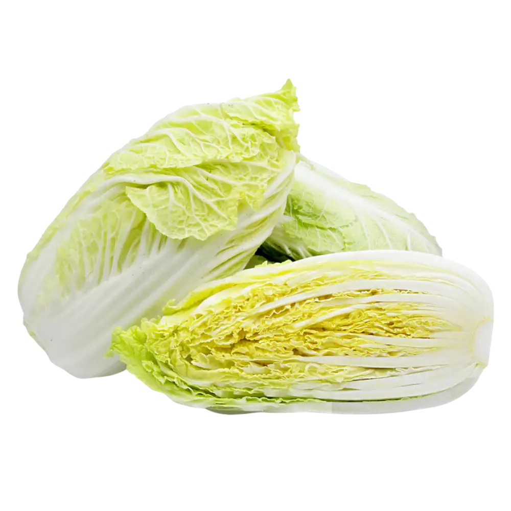 Napa Cabbage 1.5lb