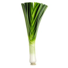 Organic Leek 1ea