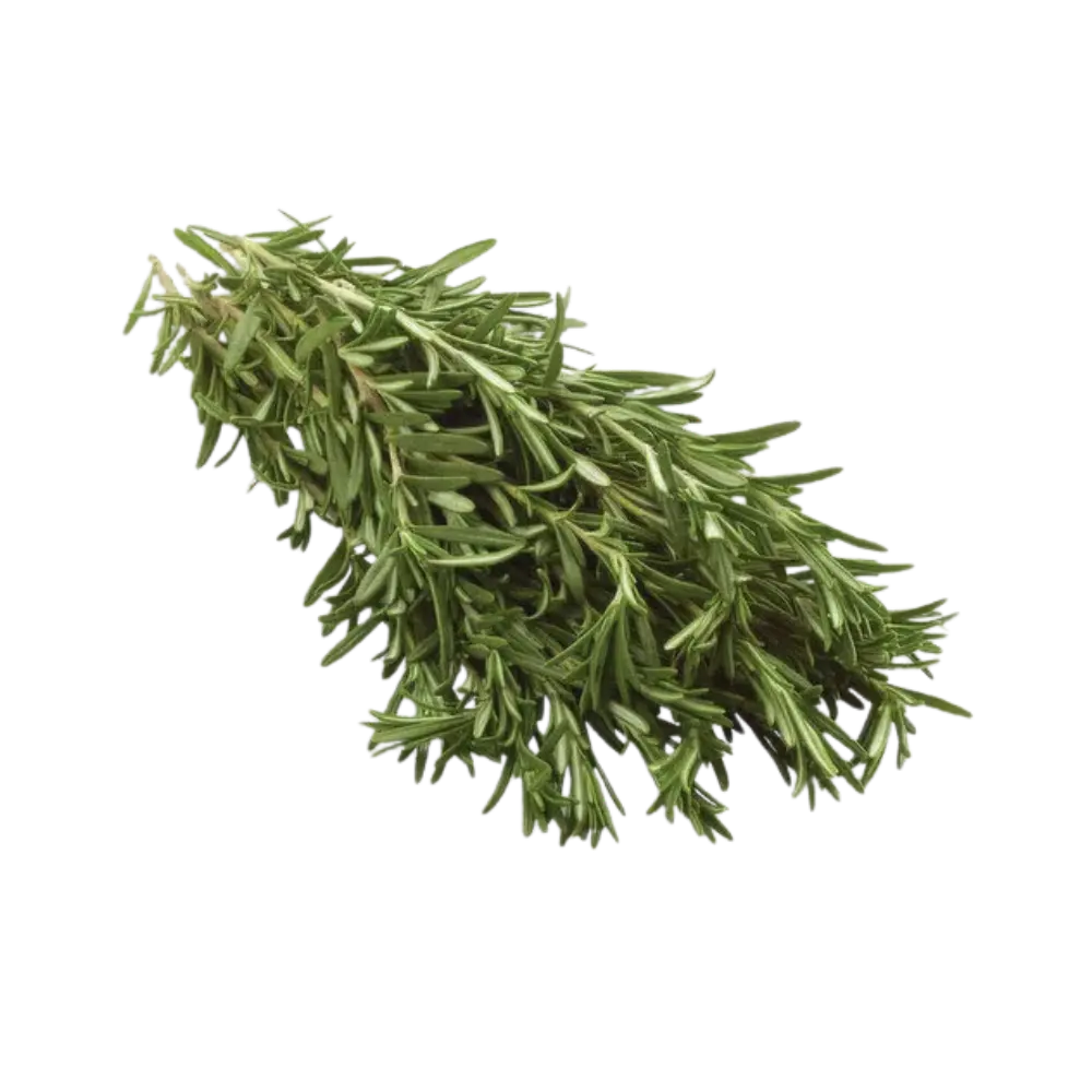 Pusateri's Fresh Rosemary 0.1lb