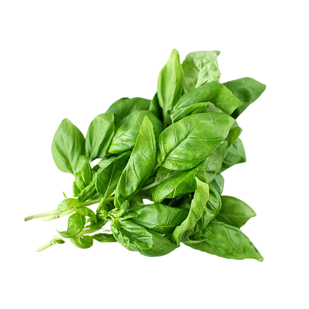 Pusateri's Fresh Basil 0.08lb