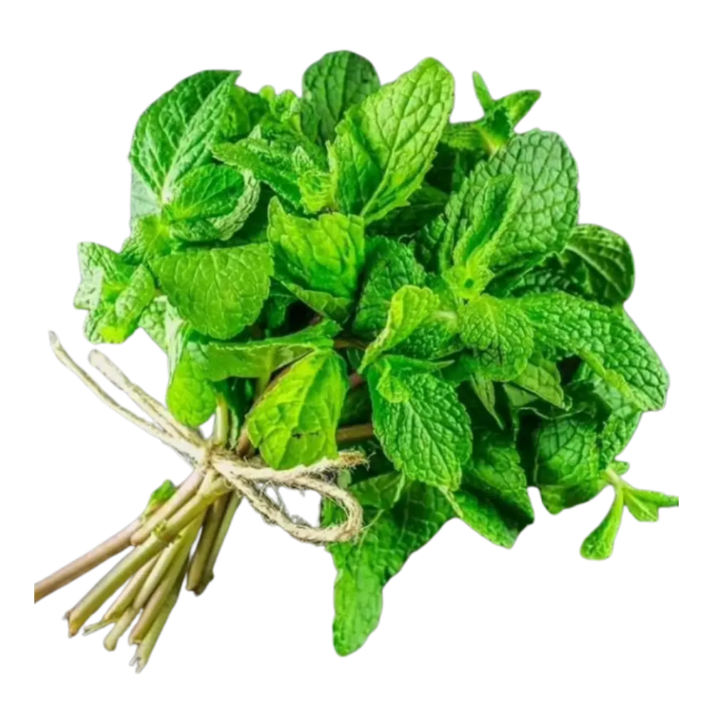 Pusateri's Fresh Mint 0.1lb