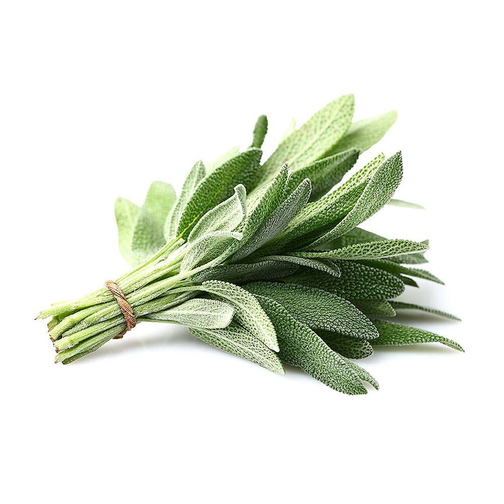 Pusateri's Fresh Sage 0.1lb
