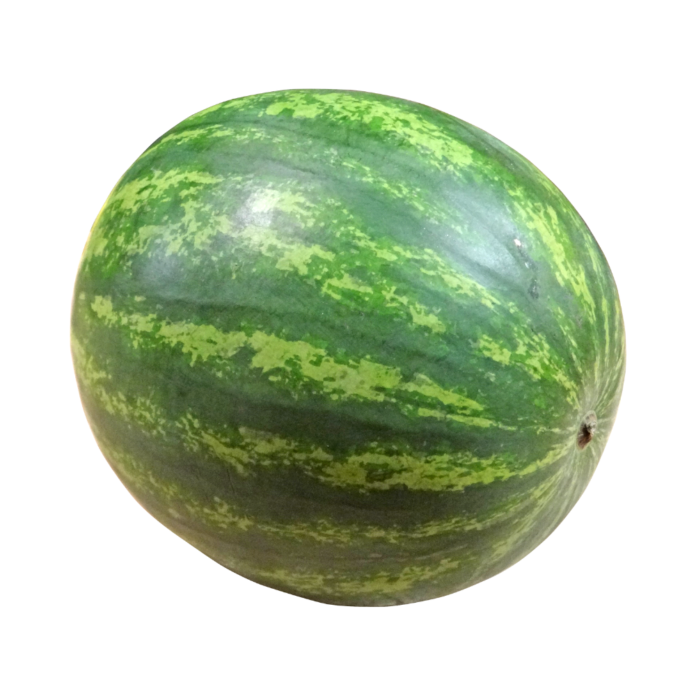 Whole Seedless Watermelon 1ea