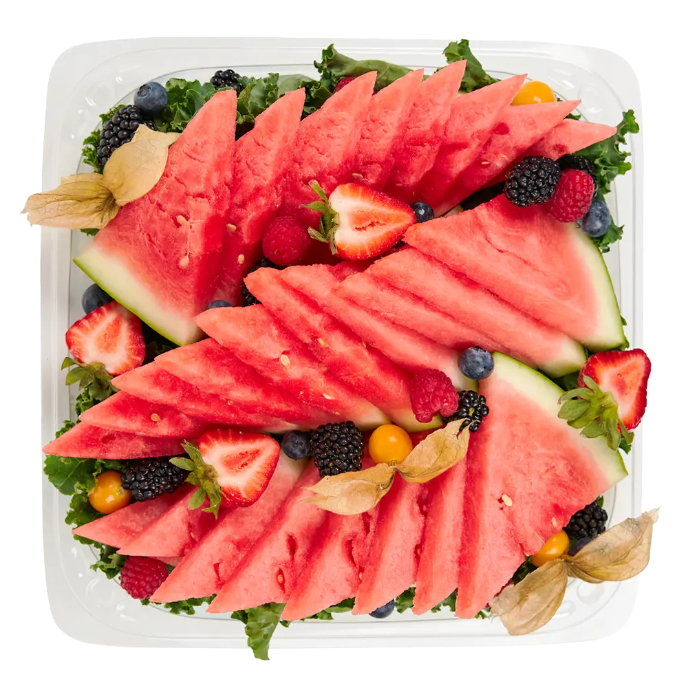 Watermelon Slice Platter  1ea
