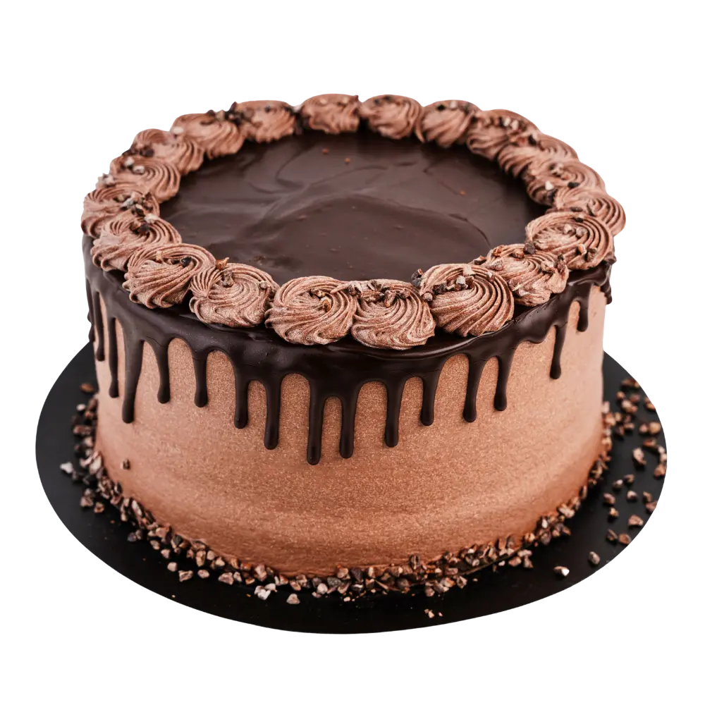 Circles & Squares Double Chocolate Cake 1Ea