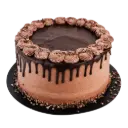 Circles & Squares Double Chocolate Cake 1Ea