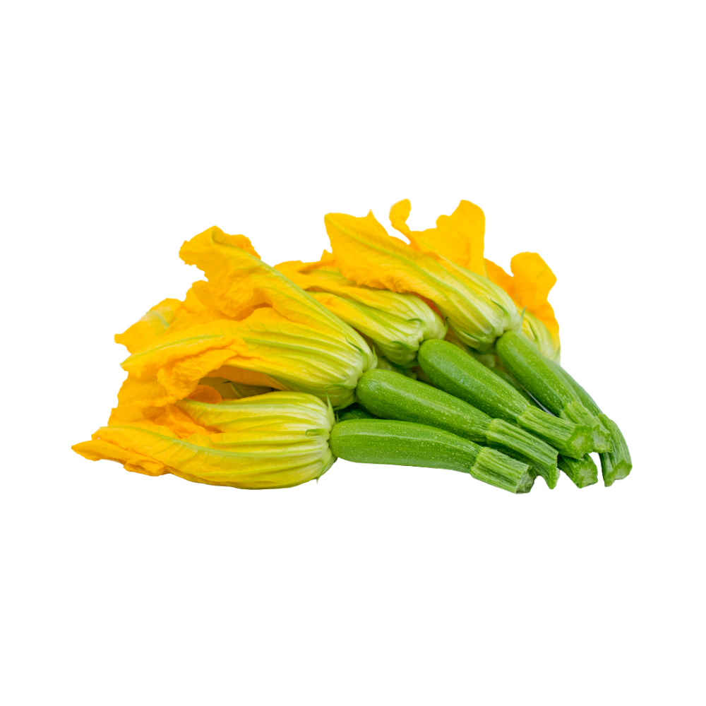 G-Zucchini Blossoms