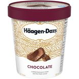 Haagen Dazs Chocolate 450ml