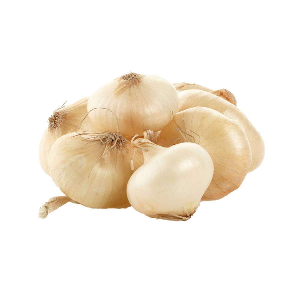 Cipollini Onion Peeled 1ea