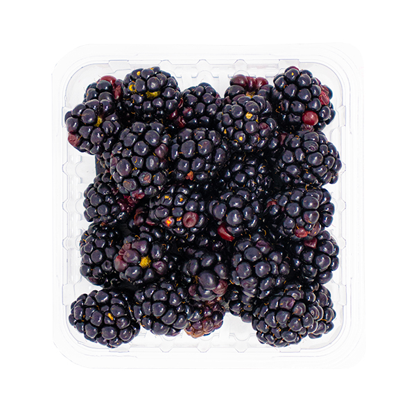 ORGANIC BLACKBERRIES 6oz - 71575610022