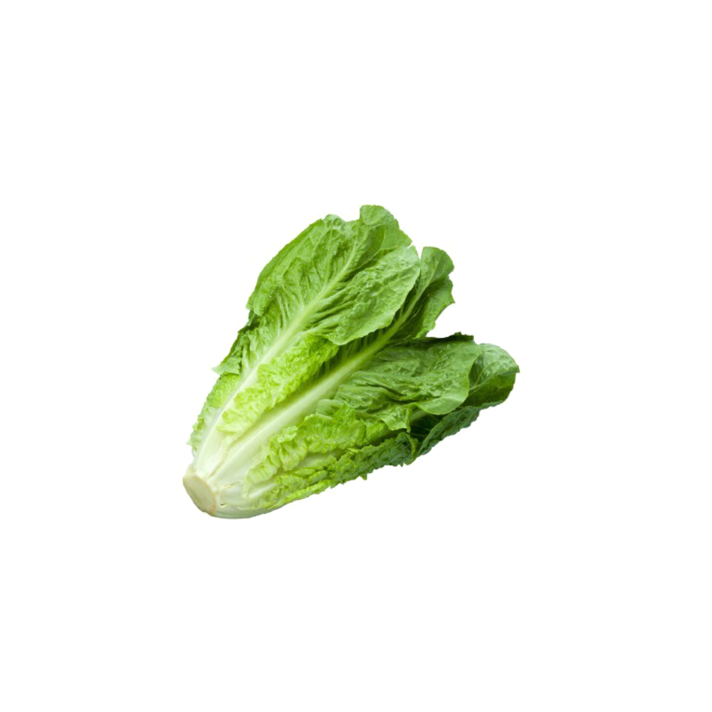 Romaine Lettuce 1ea