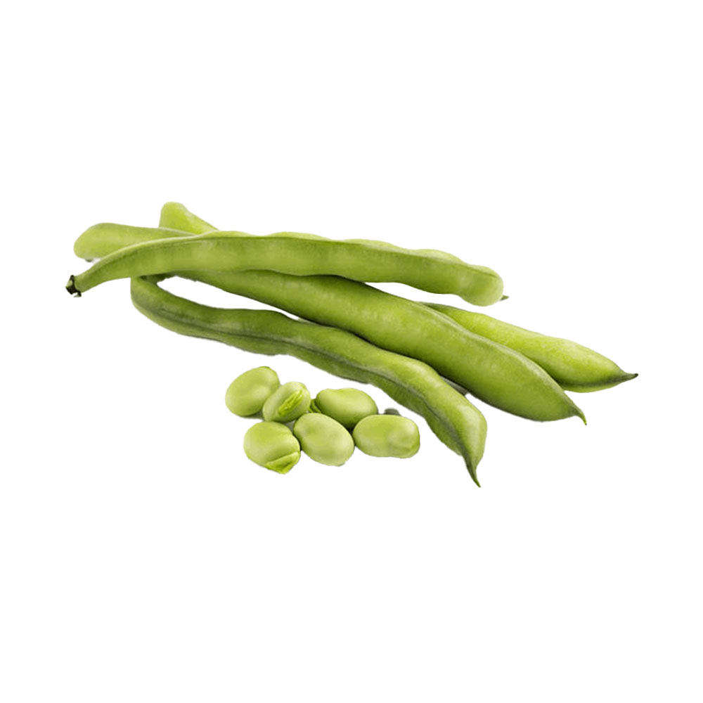 Fresh Fava Beans 1lb