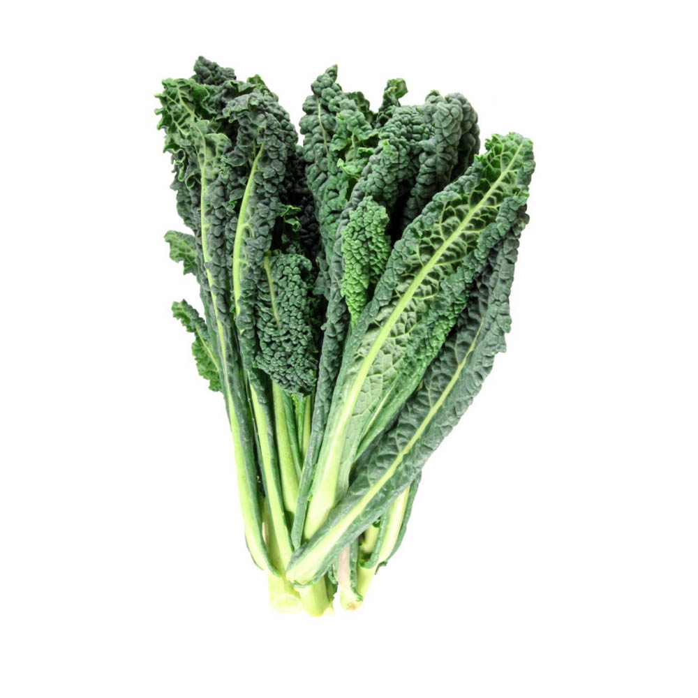 Ontario Tuscan Kale 1ea