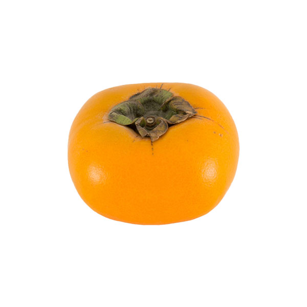 VANILLA PERSIMMONS