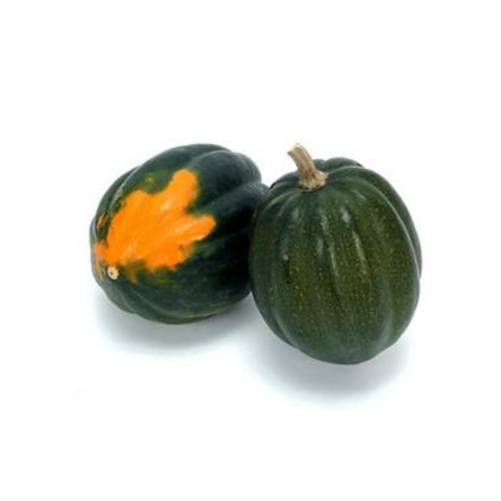 PEPPER (ACORN) SQUASH