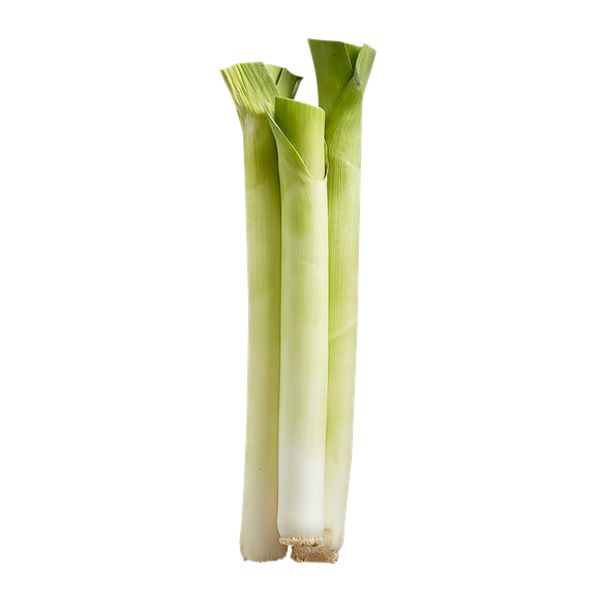 LEEKS BUNCH