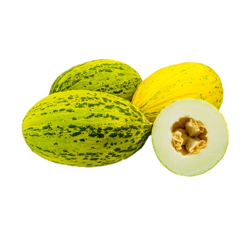 [60001] SANTA CLAUS MELON - 3101