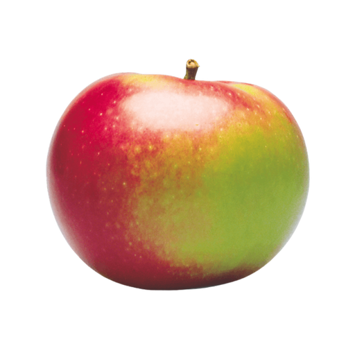 [60242] MACINTOSH APPLES - 4153