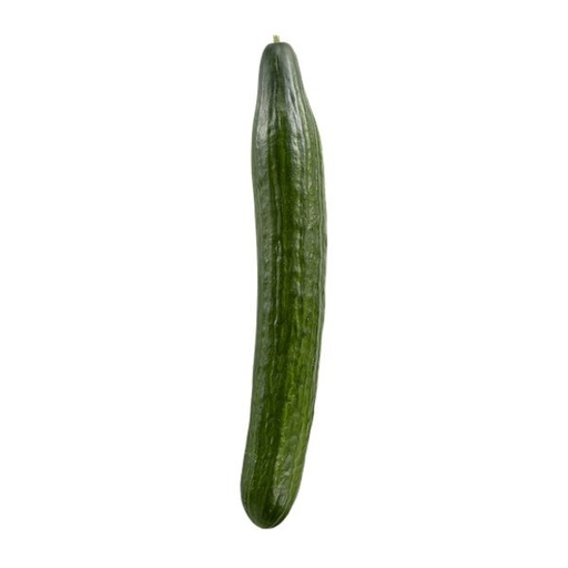 [60423] LARGE ENGLISH CUCUMBER - 4593