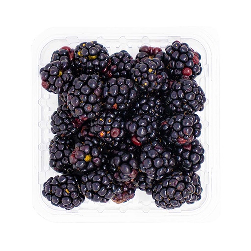 [233491] ORGANIC BLACKBERRIES 6oz - 81209203807