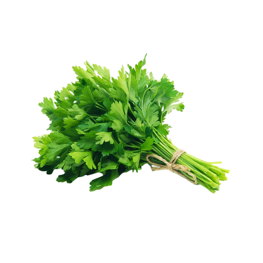 [60613] CORIANDER BUNCH