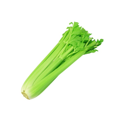 [95129] CELERY - 4070