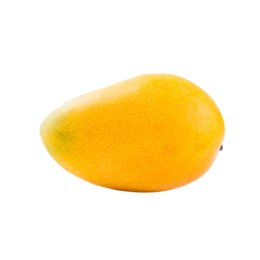 [61008] ATAULFO MANGO