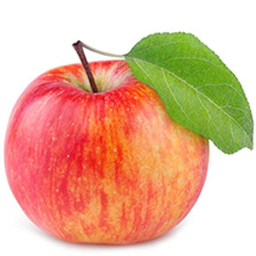 [61216] FUJI APPLES