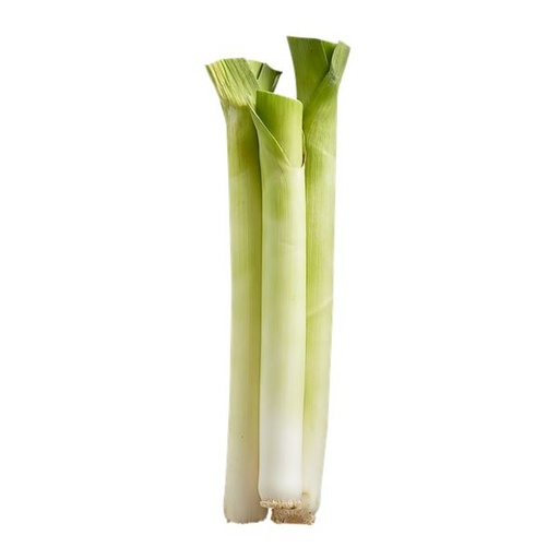 [61224] LEEKS BUNCH